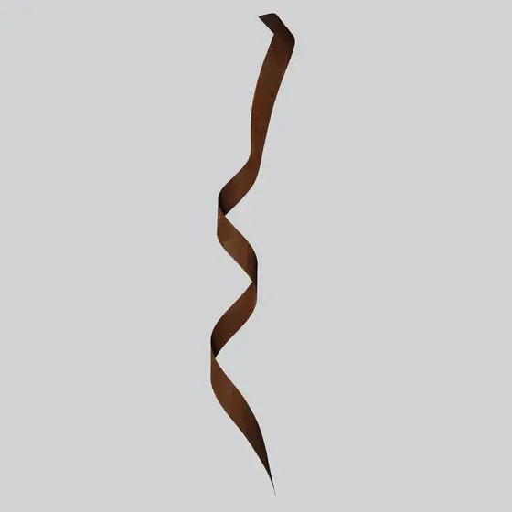 Escultura de Parede em Aço Corten em Curva Curls